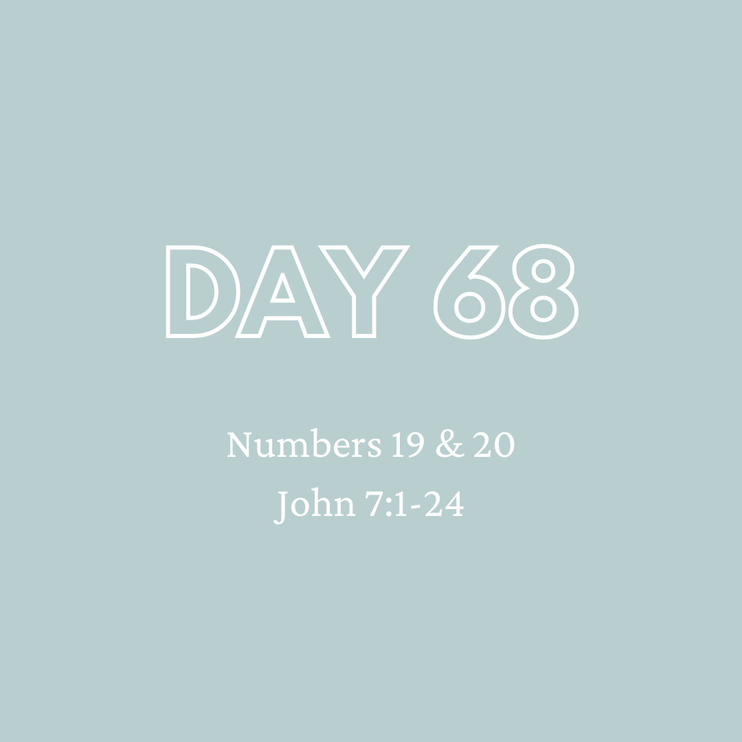 Daily Devotion - Day 68