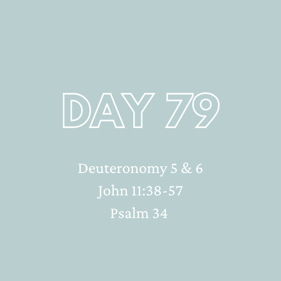 Daily Devotion - Day 79