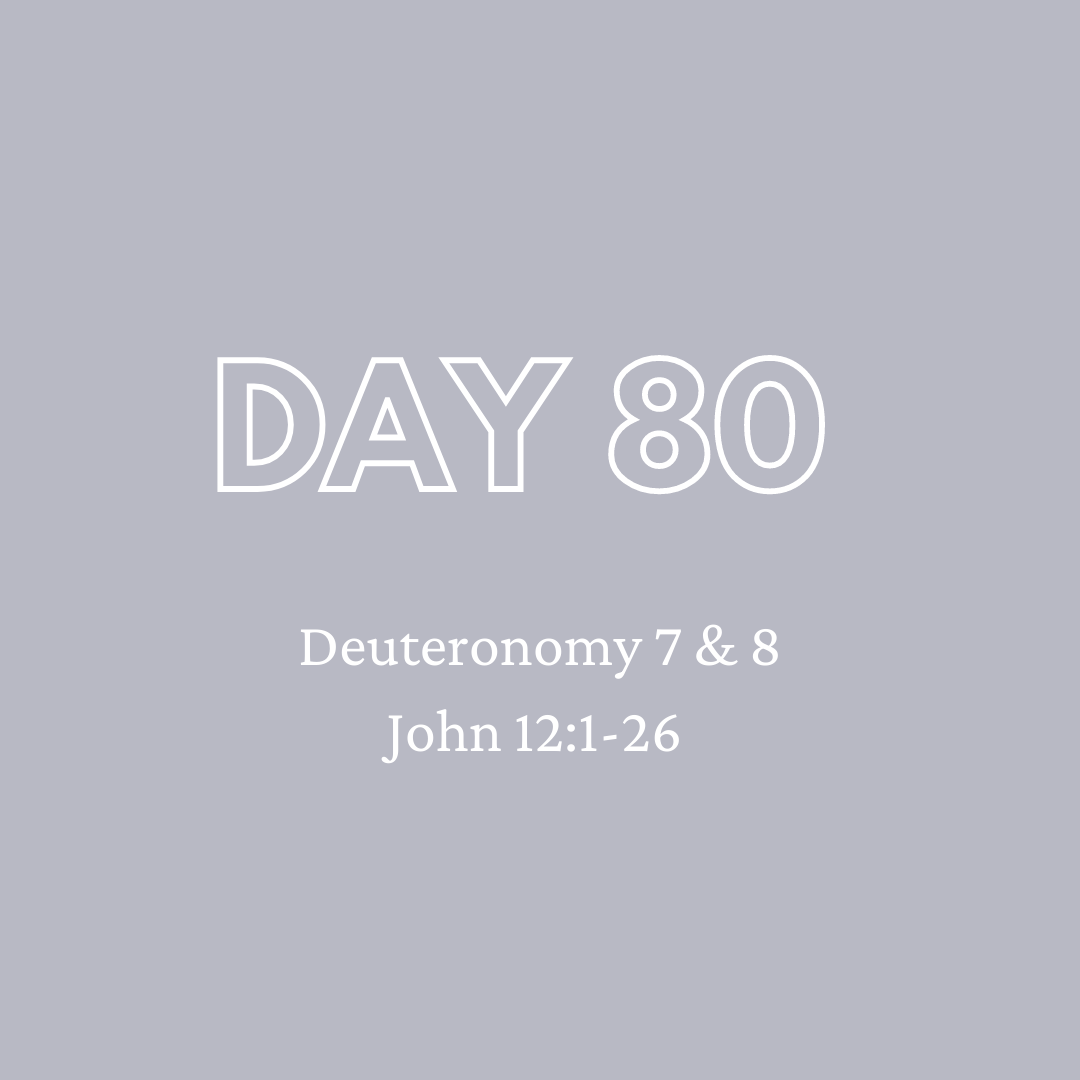Daily Devotion - Day 80