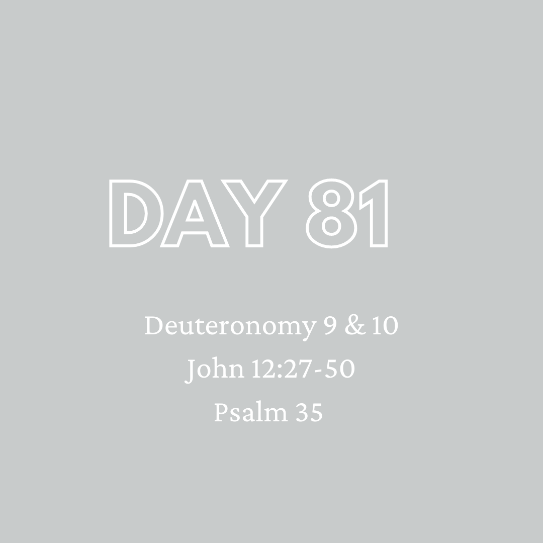 Daily Devotion - Day 81