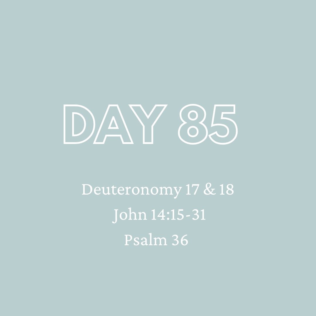 Daily Devotion - Day 85
