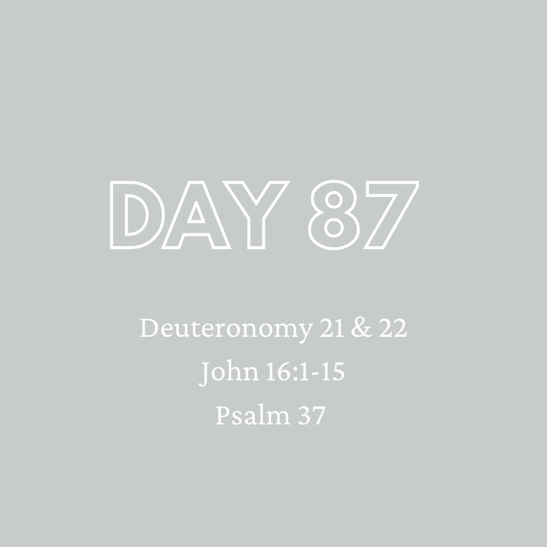 Daily Devotion - Day 87
