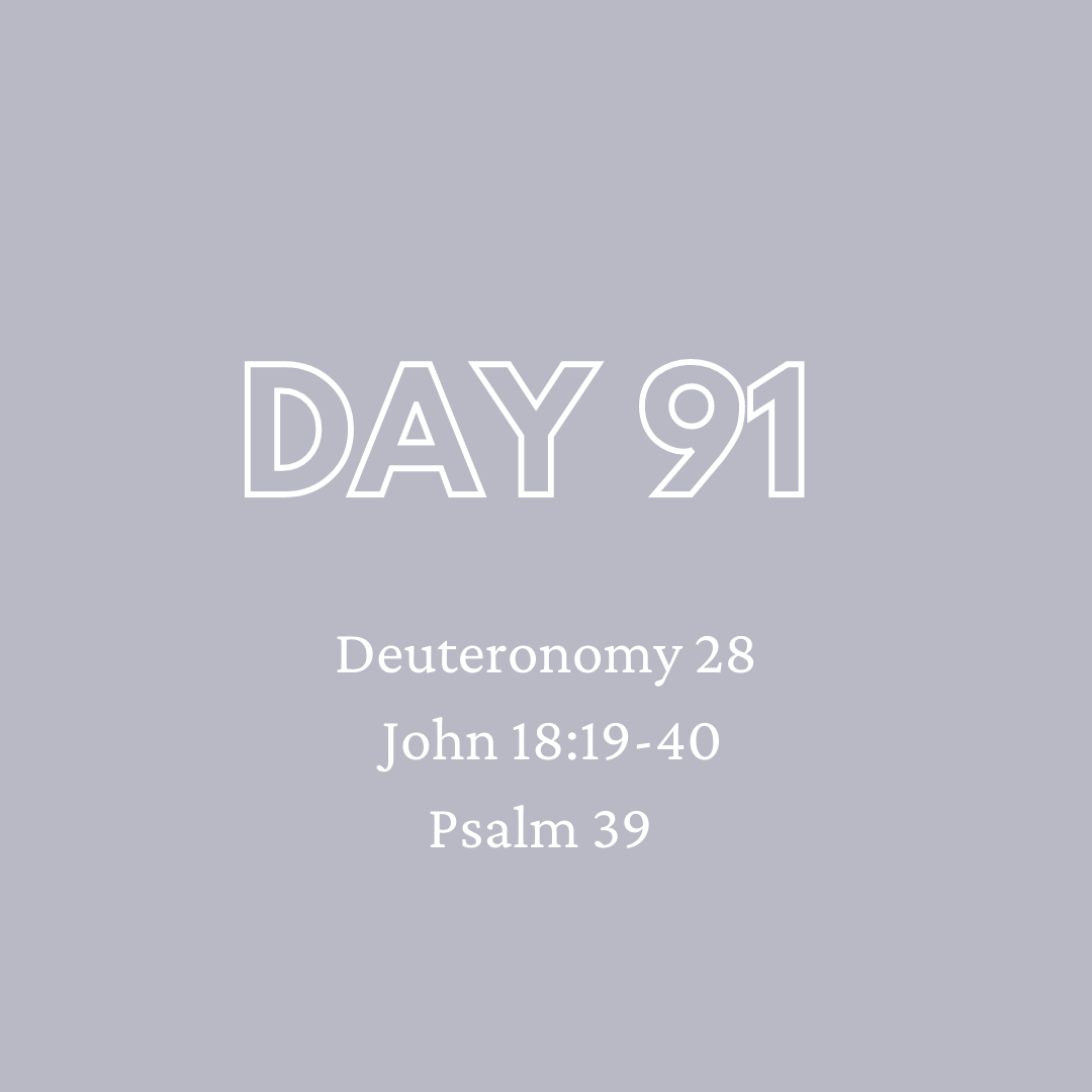 Daily Devotion - Day 91
