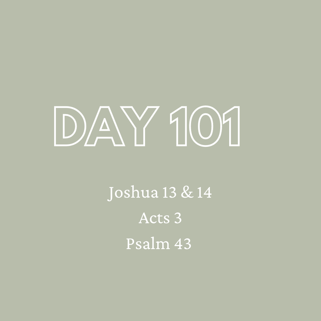Daily Devotion - Day 101