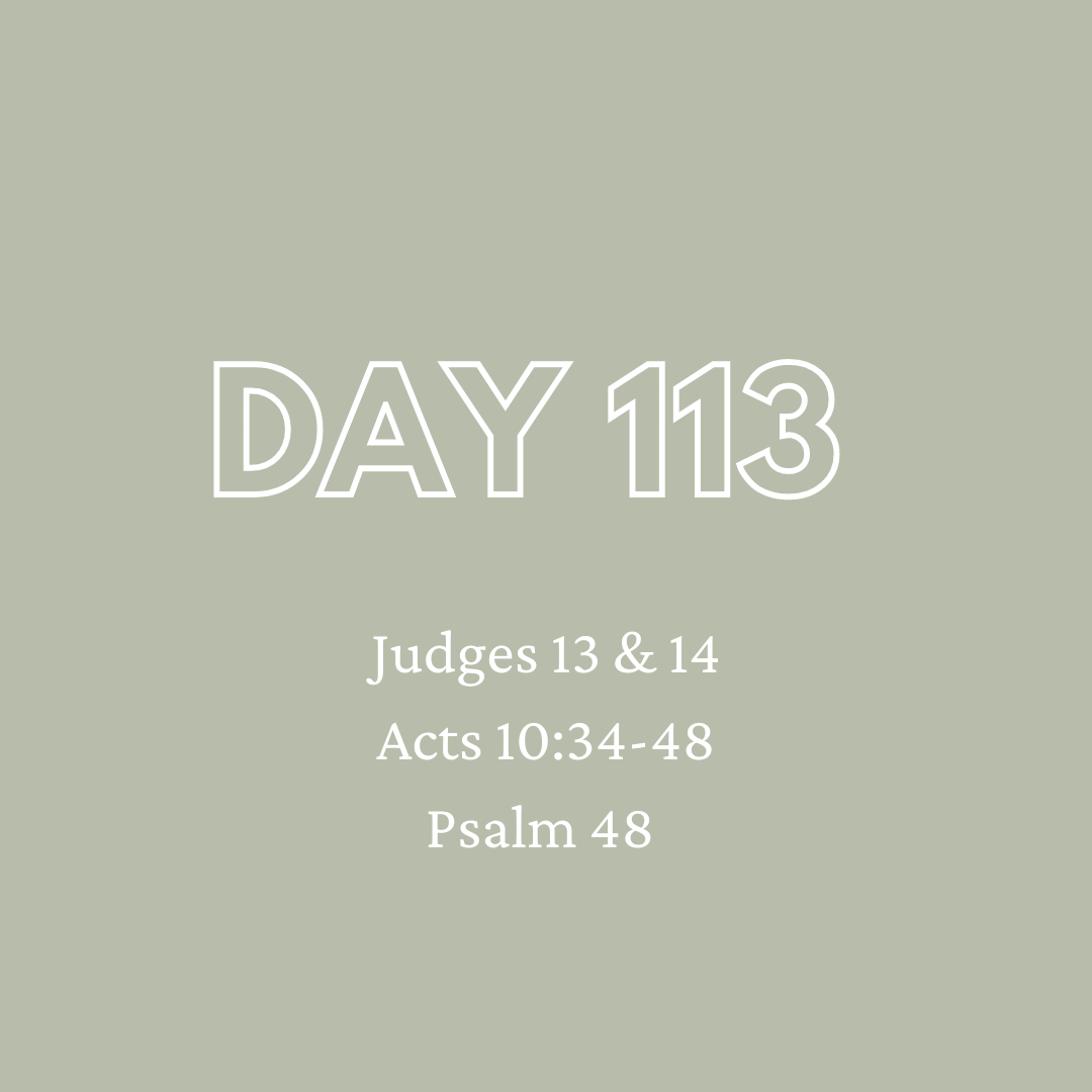 Daily Devotion - Day 113
