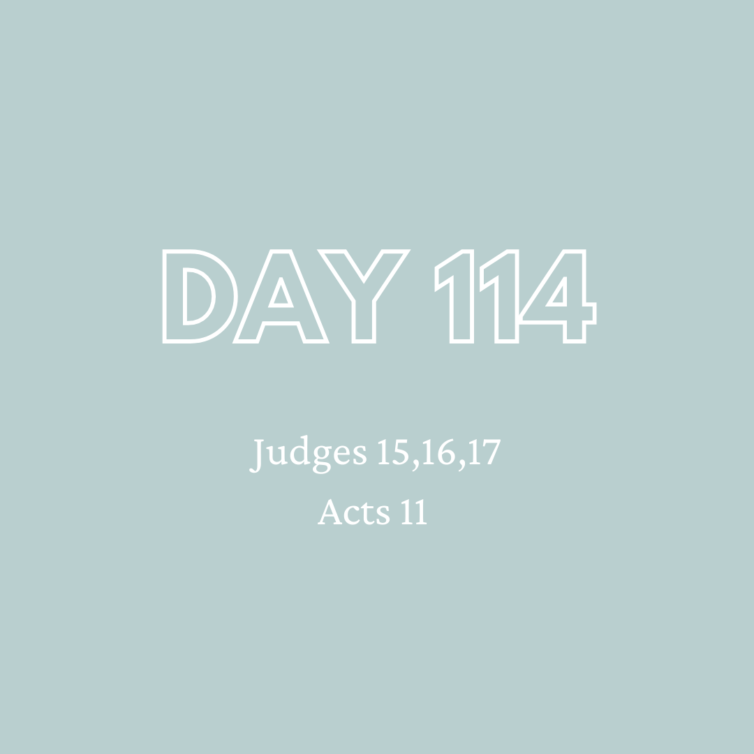 Daily Devotion - Day 114