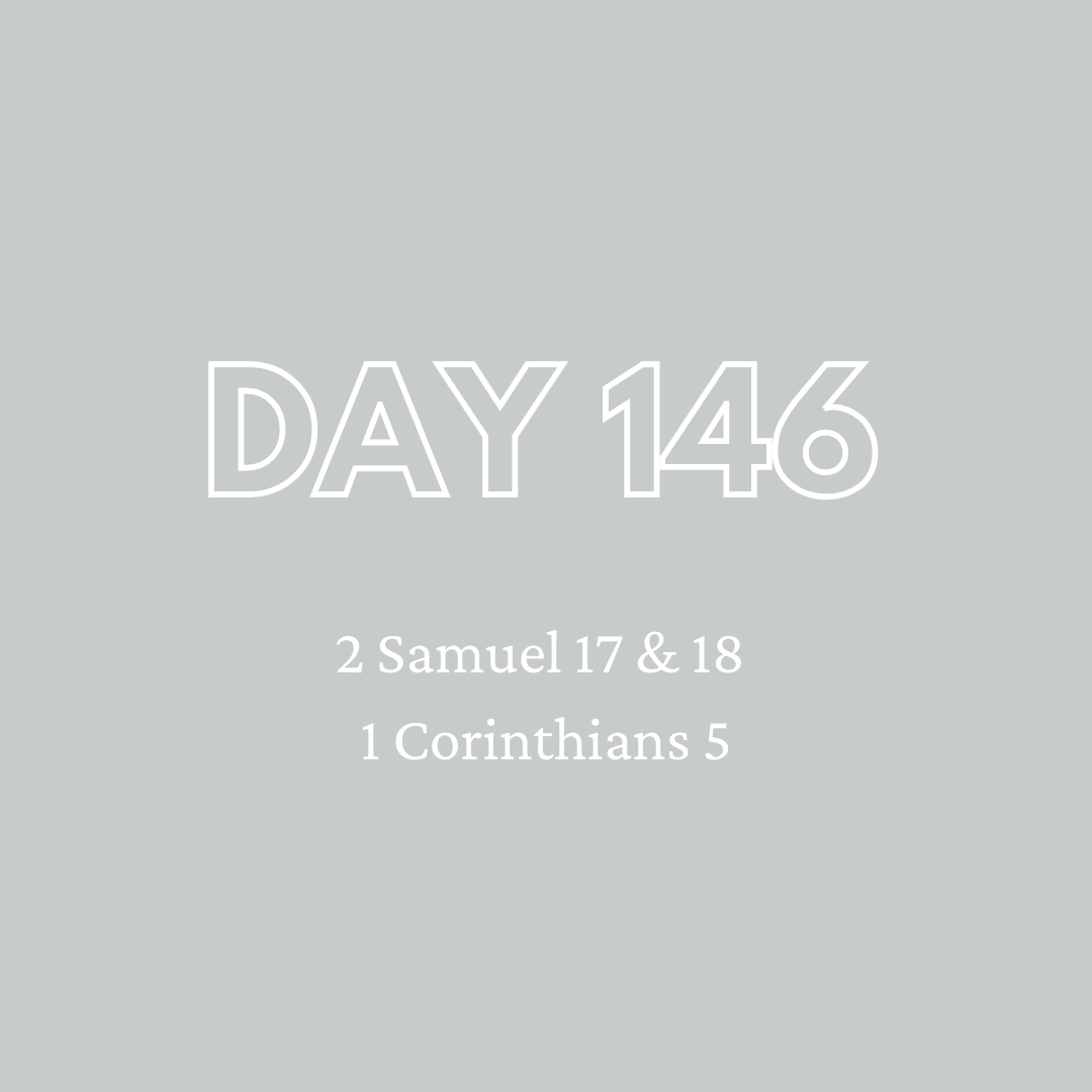Daily Devotion - Day 146