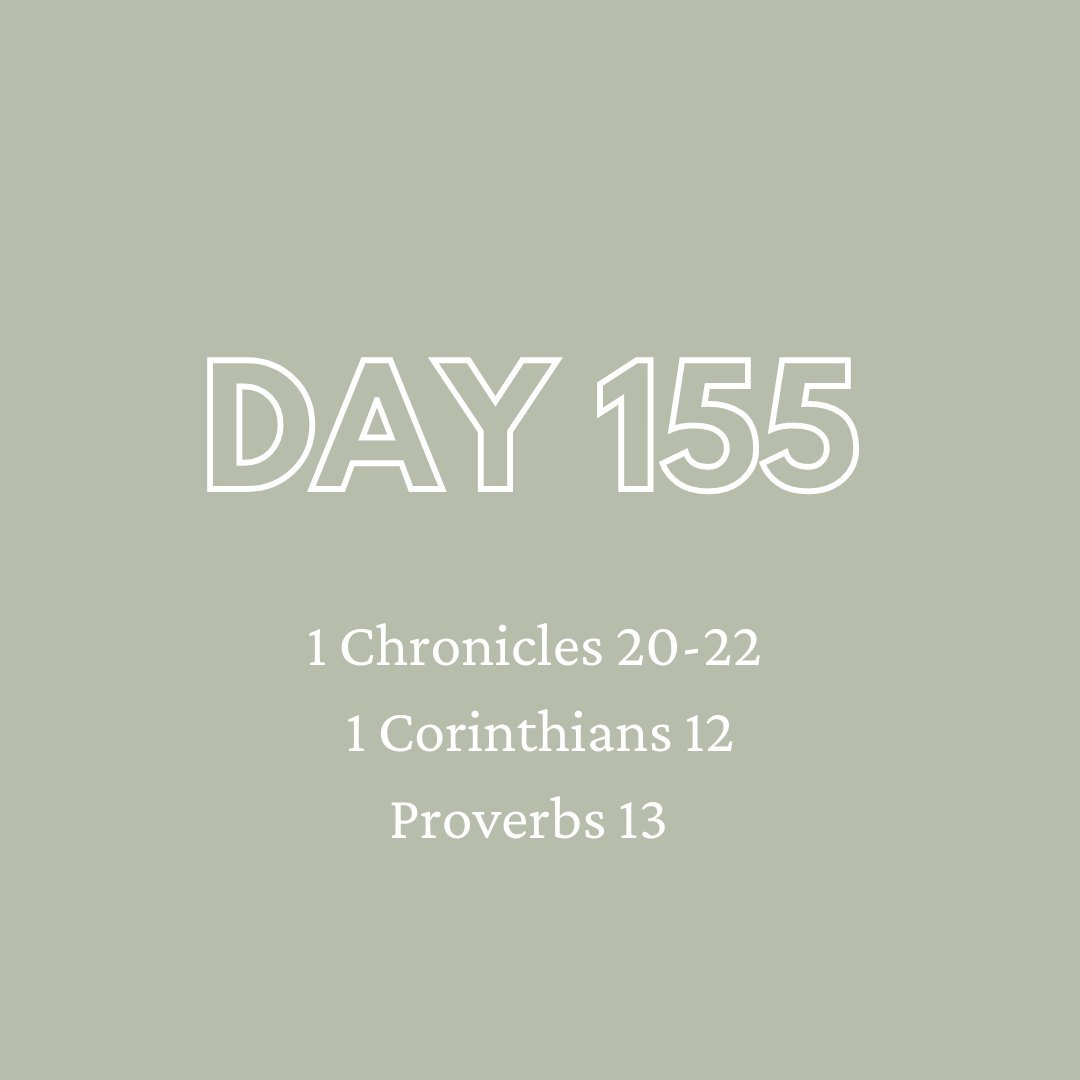 Daily Devotion - Day 155