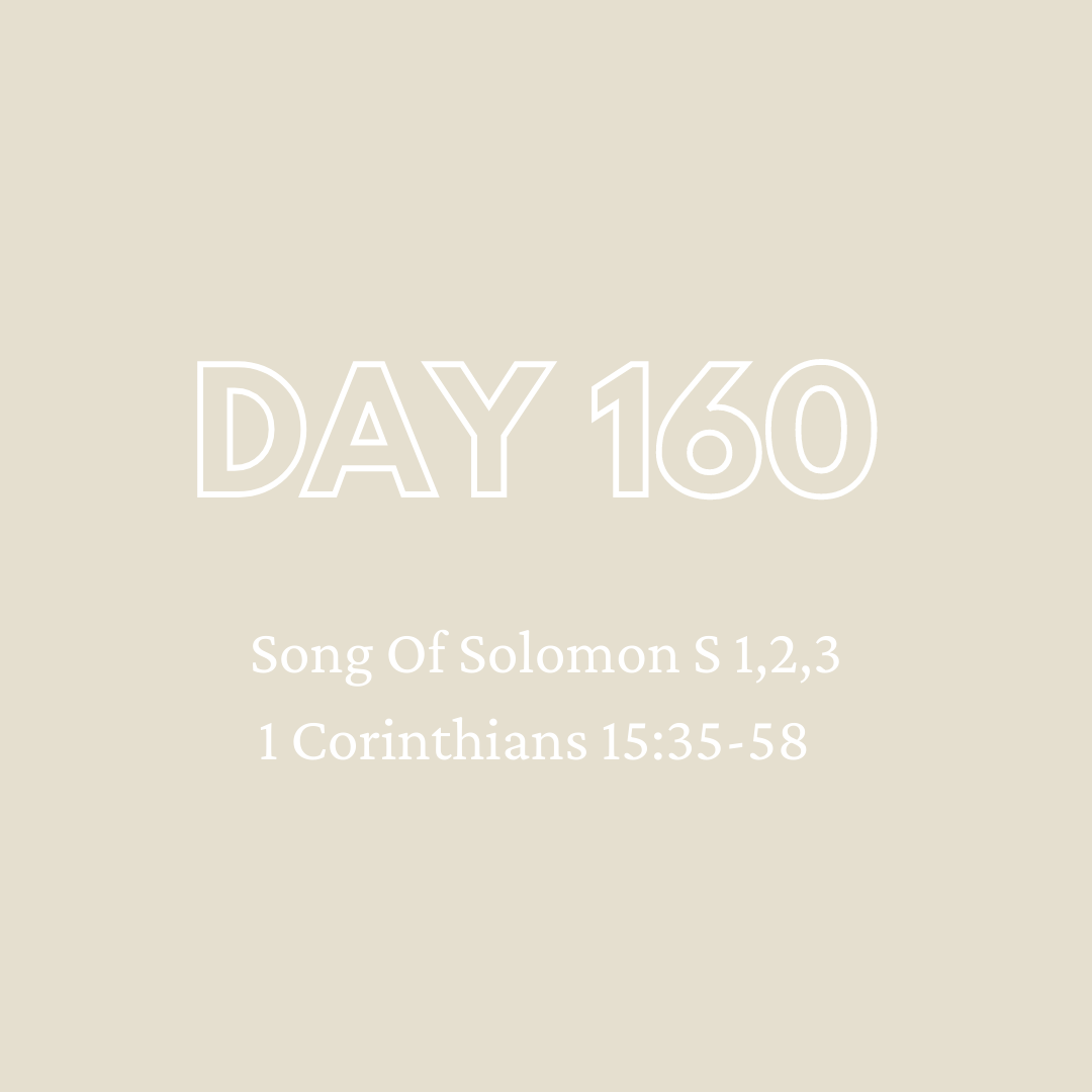 Daily Devotion - Day 160