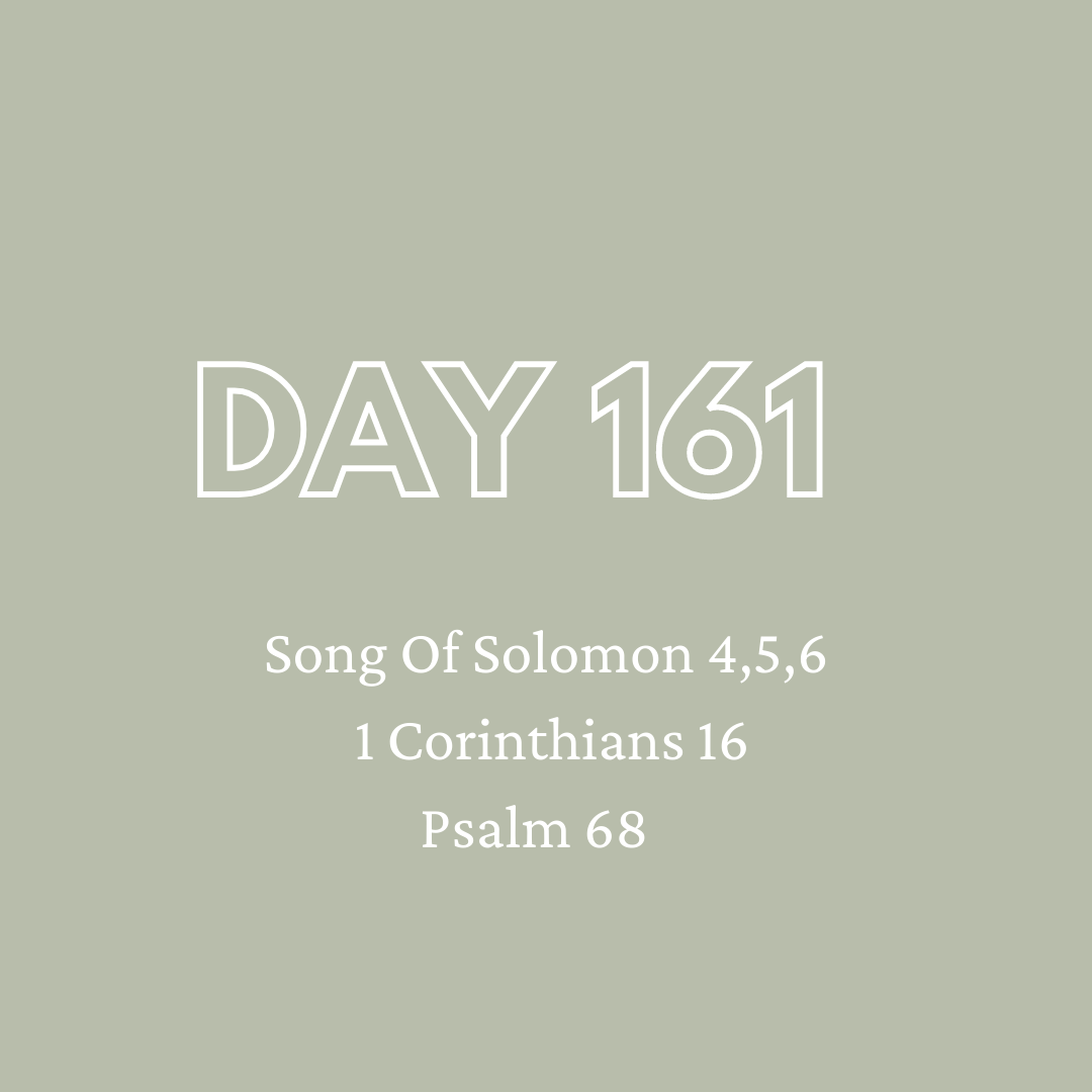 Daily Devotion - Day 161