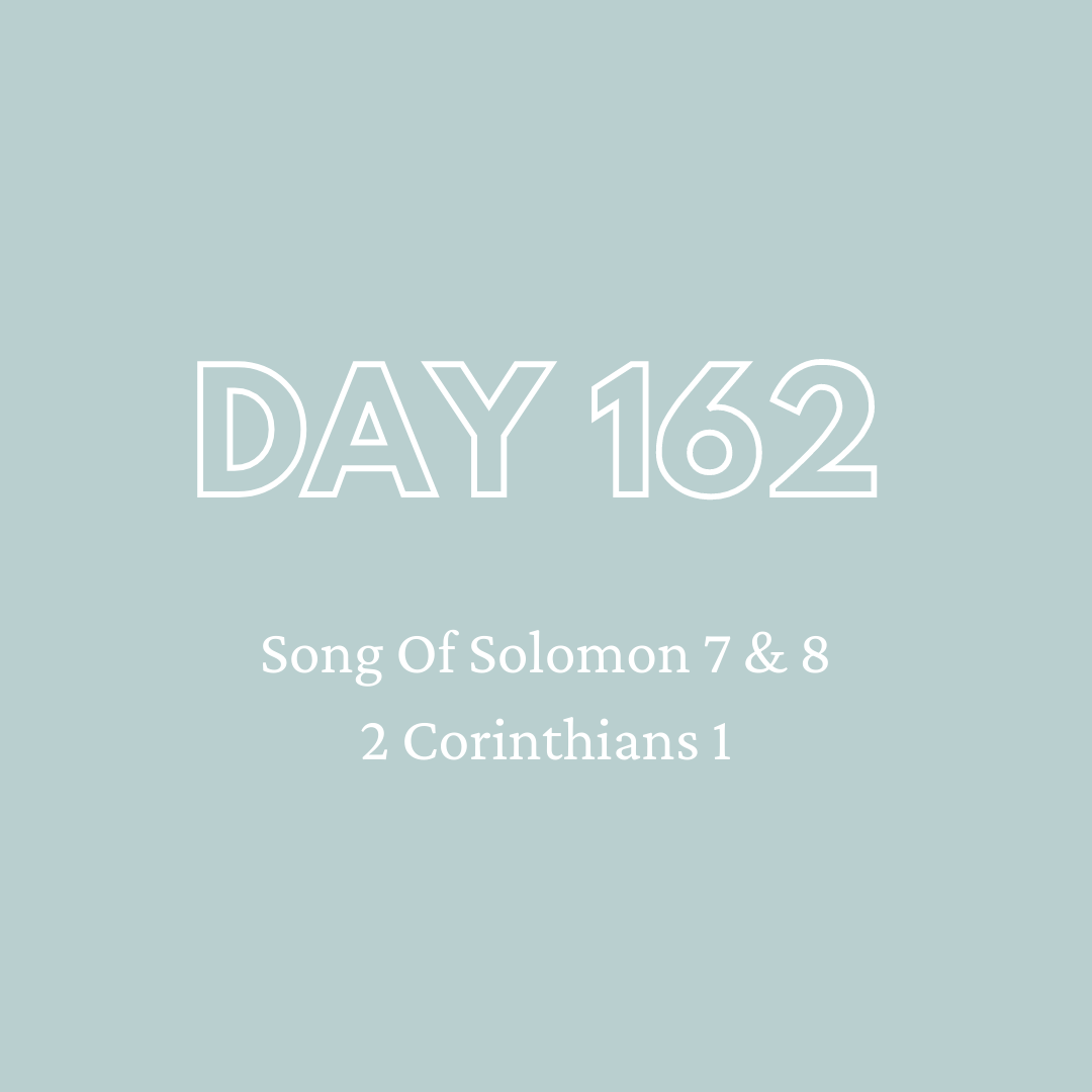 Daily Devotion - Day 162