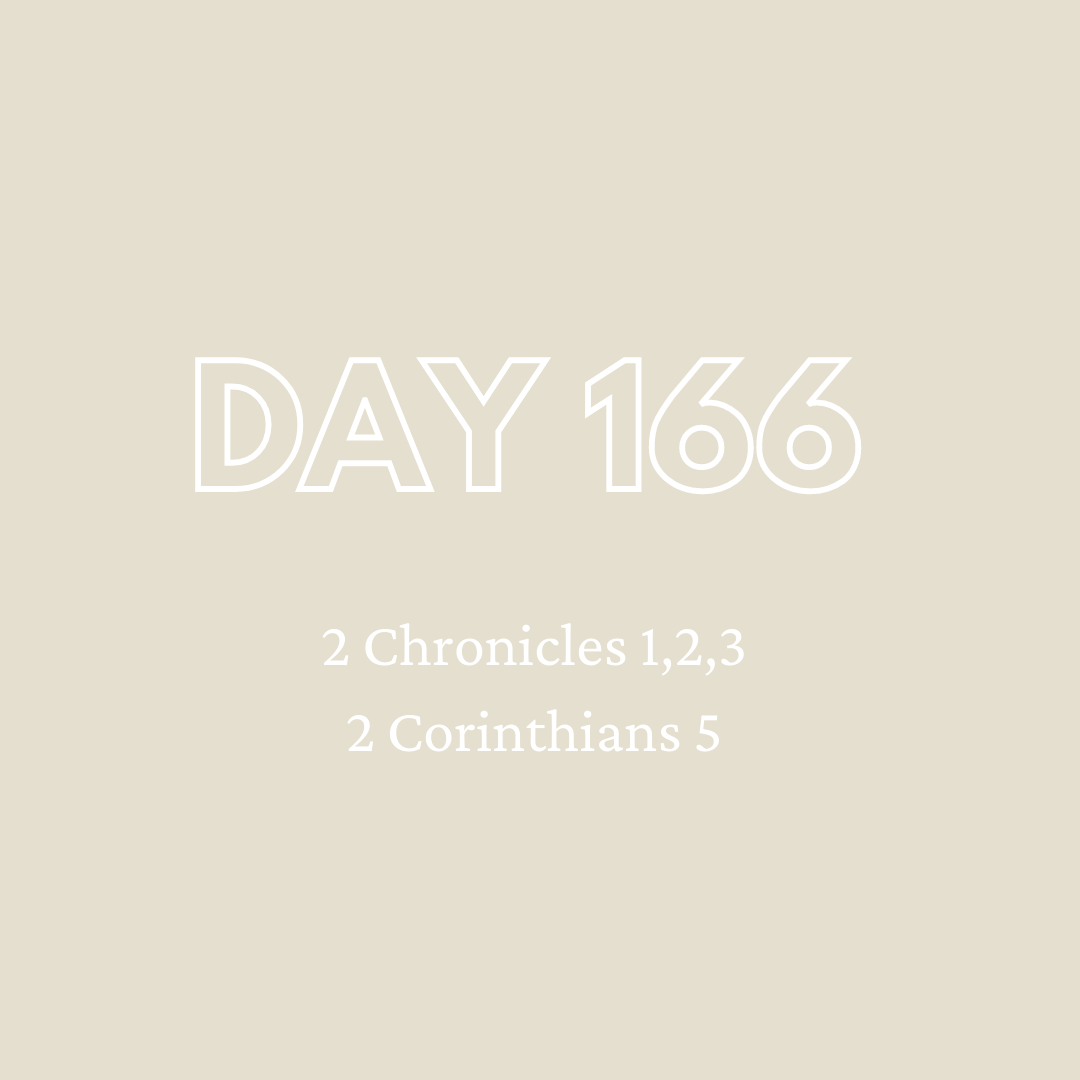 Daily Devotion - Day 166