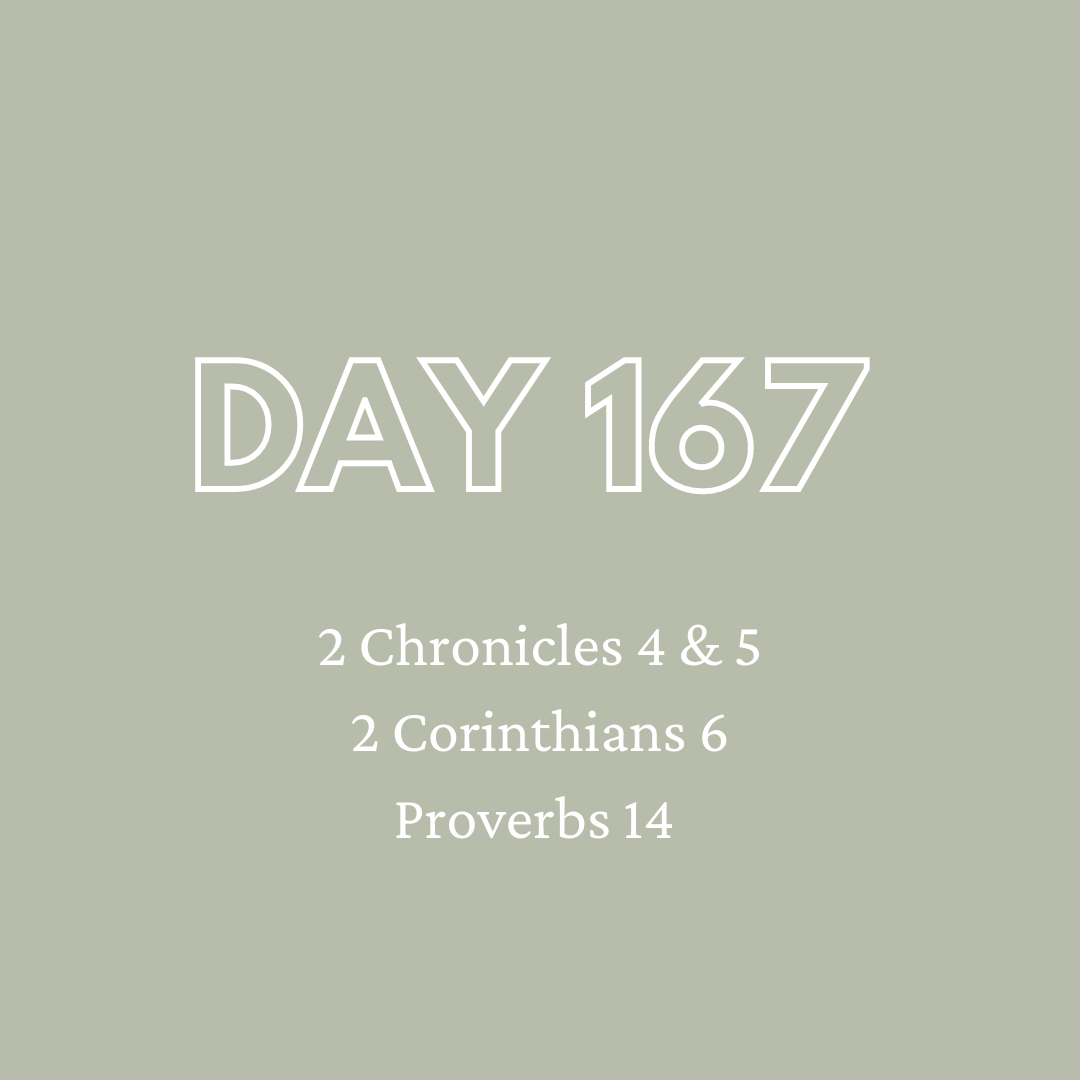 Daily Devotion - Day 167