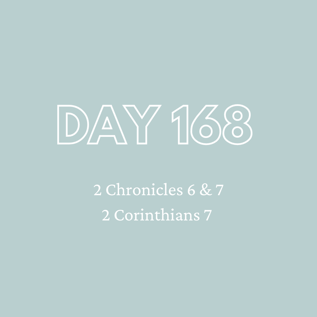 Daily Devotion - Day 168