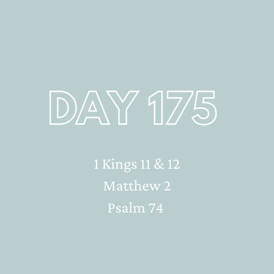 Daily Devotion - Day 175