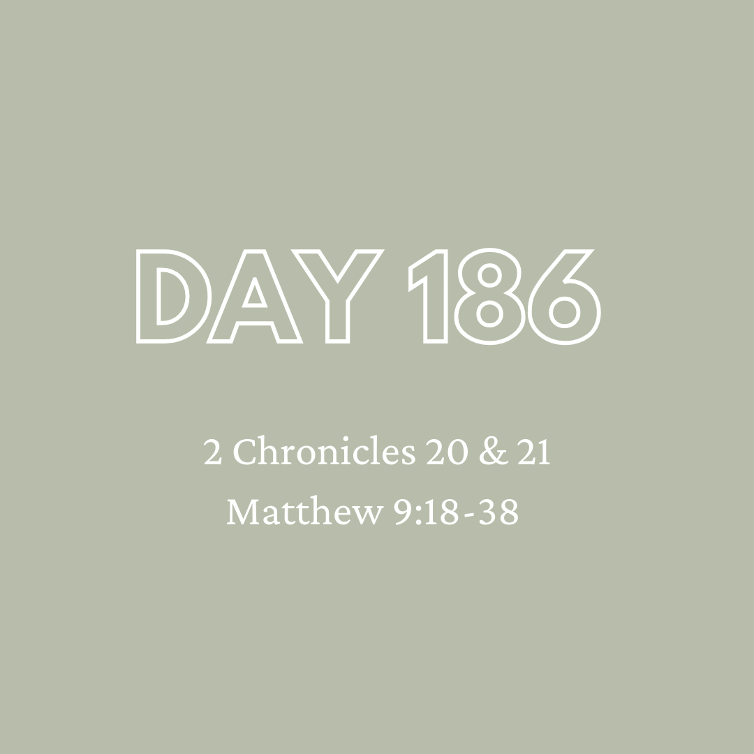 Daily Devotion - Day 186