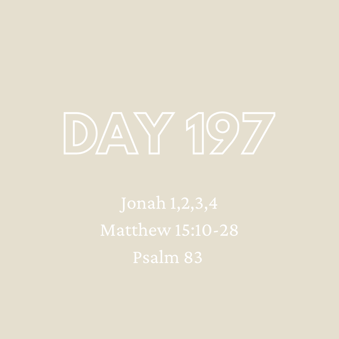 Daily Devotion - Day 197
