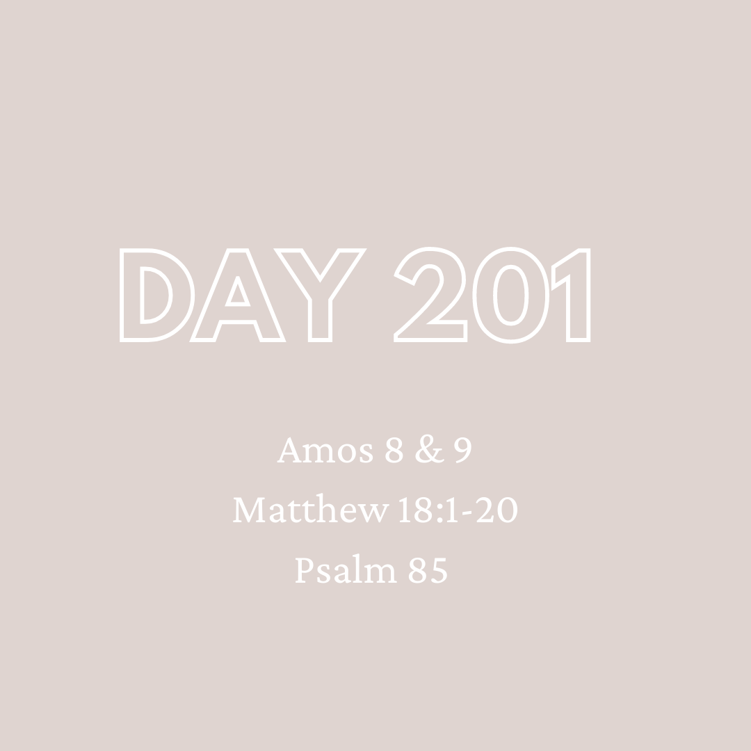 Daily Devotion - Day 201