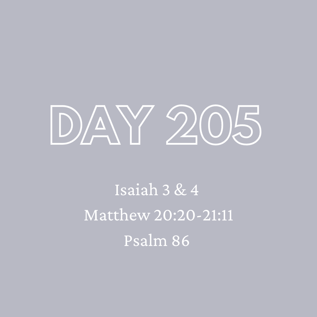 Daily Devotion - Day 205