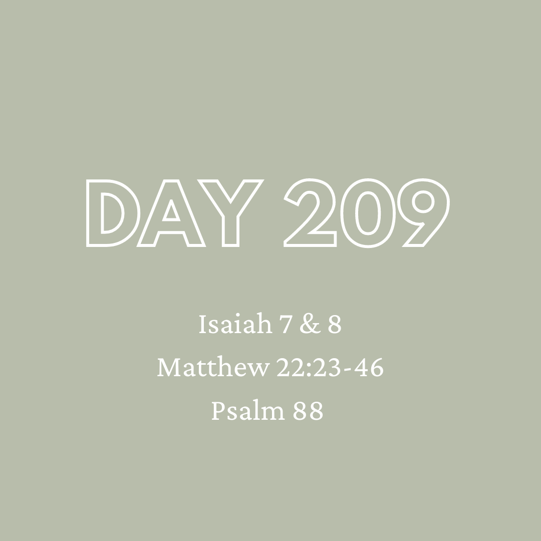Daily Devotion - Day 209
