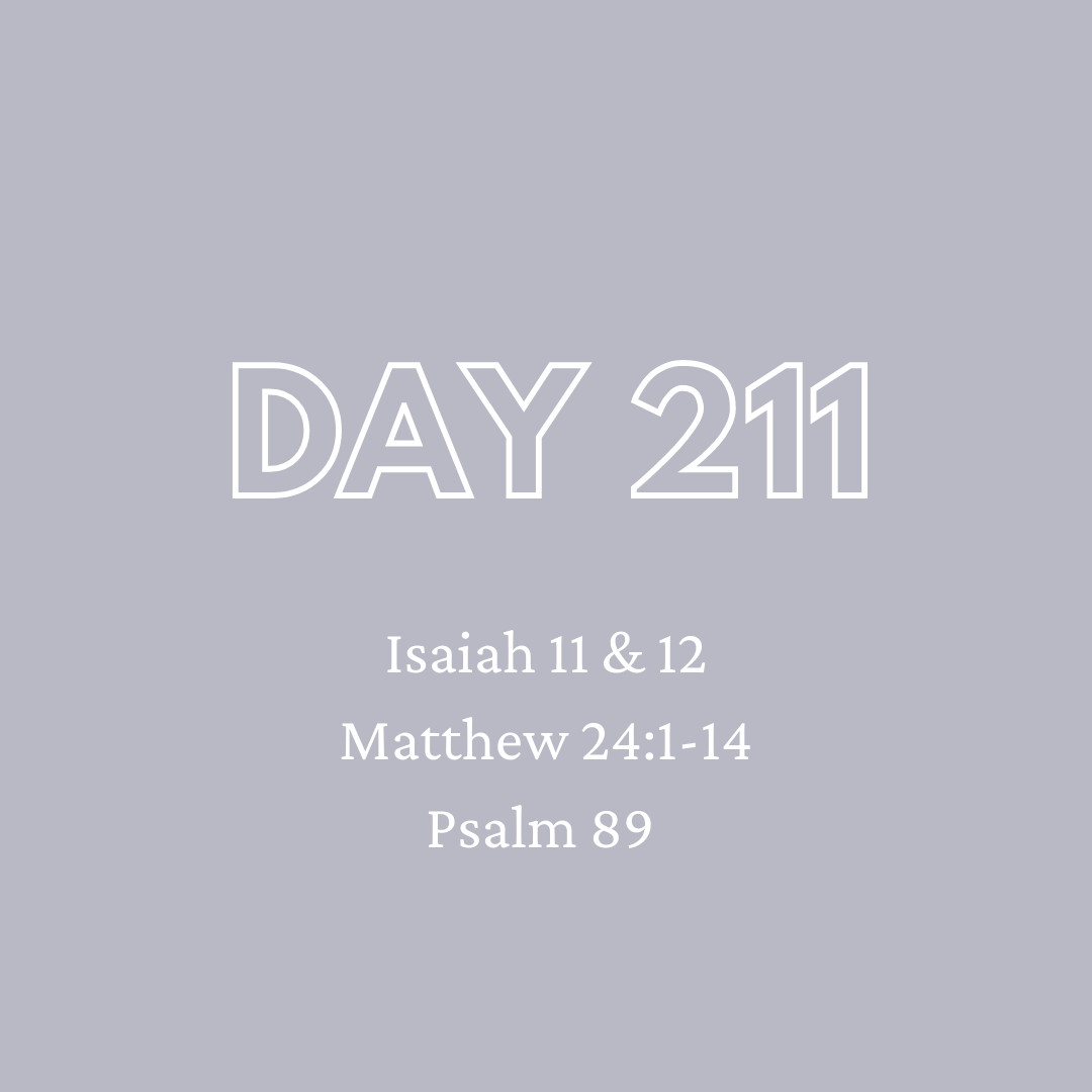 Daily Devotion - Day 211