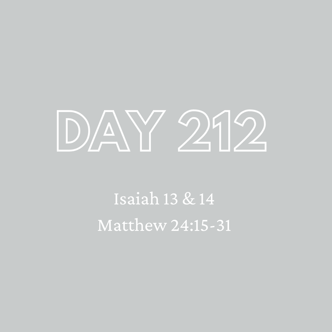 Daily Devotion - Day 212