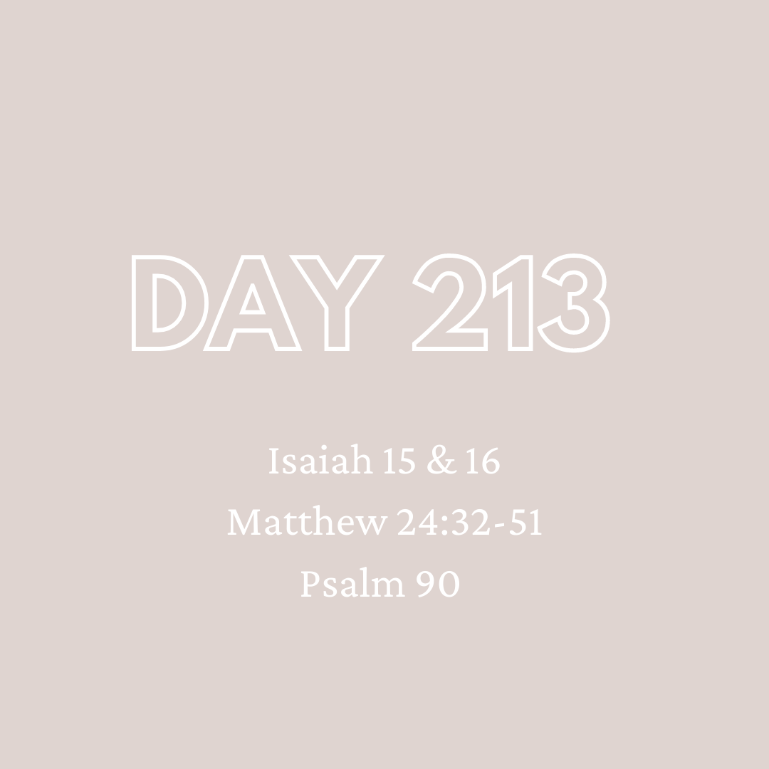 Daily Devotion - Day 213