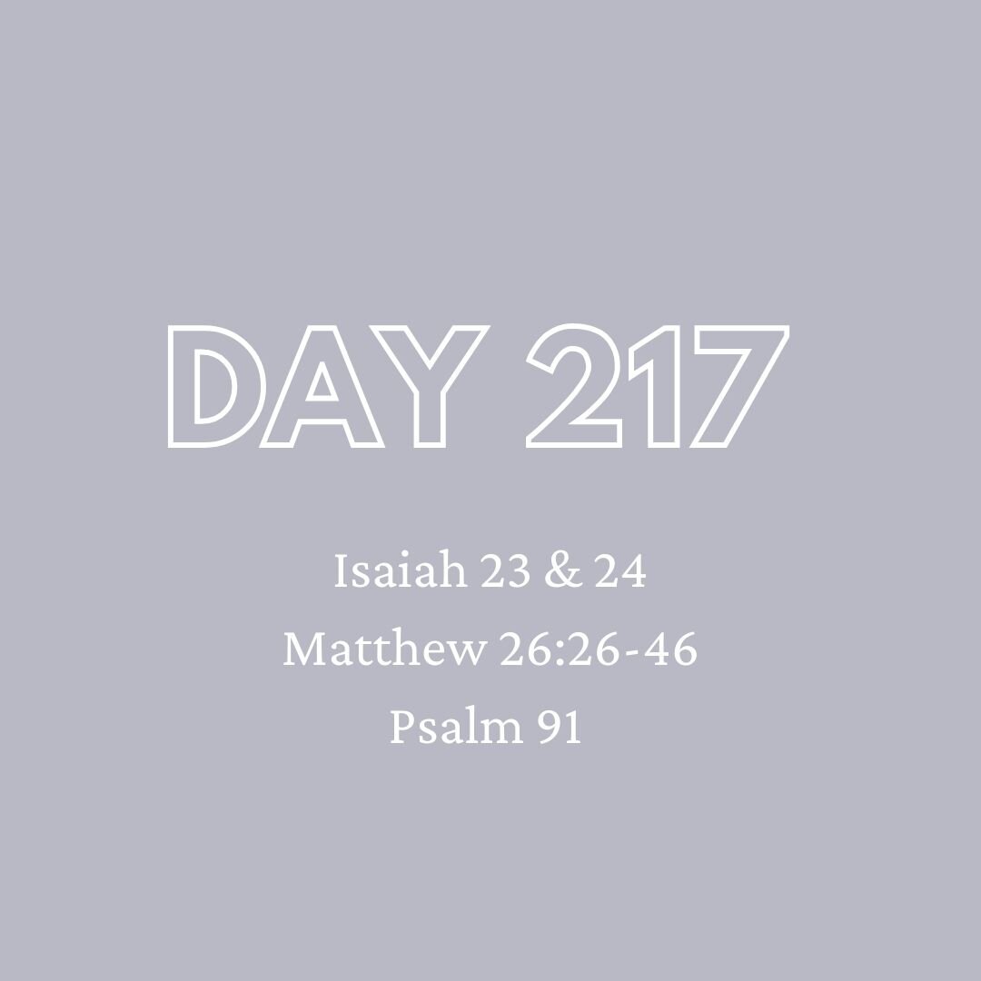 Daily Devotion - Day 217