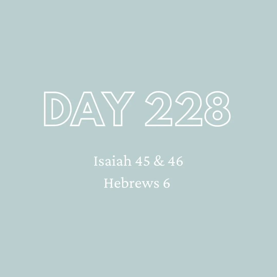 Daily Devotion - Day 228