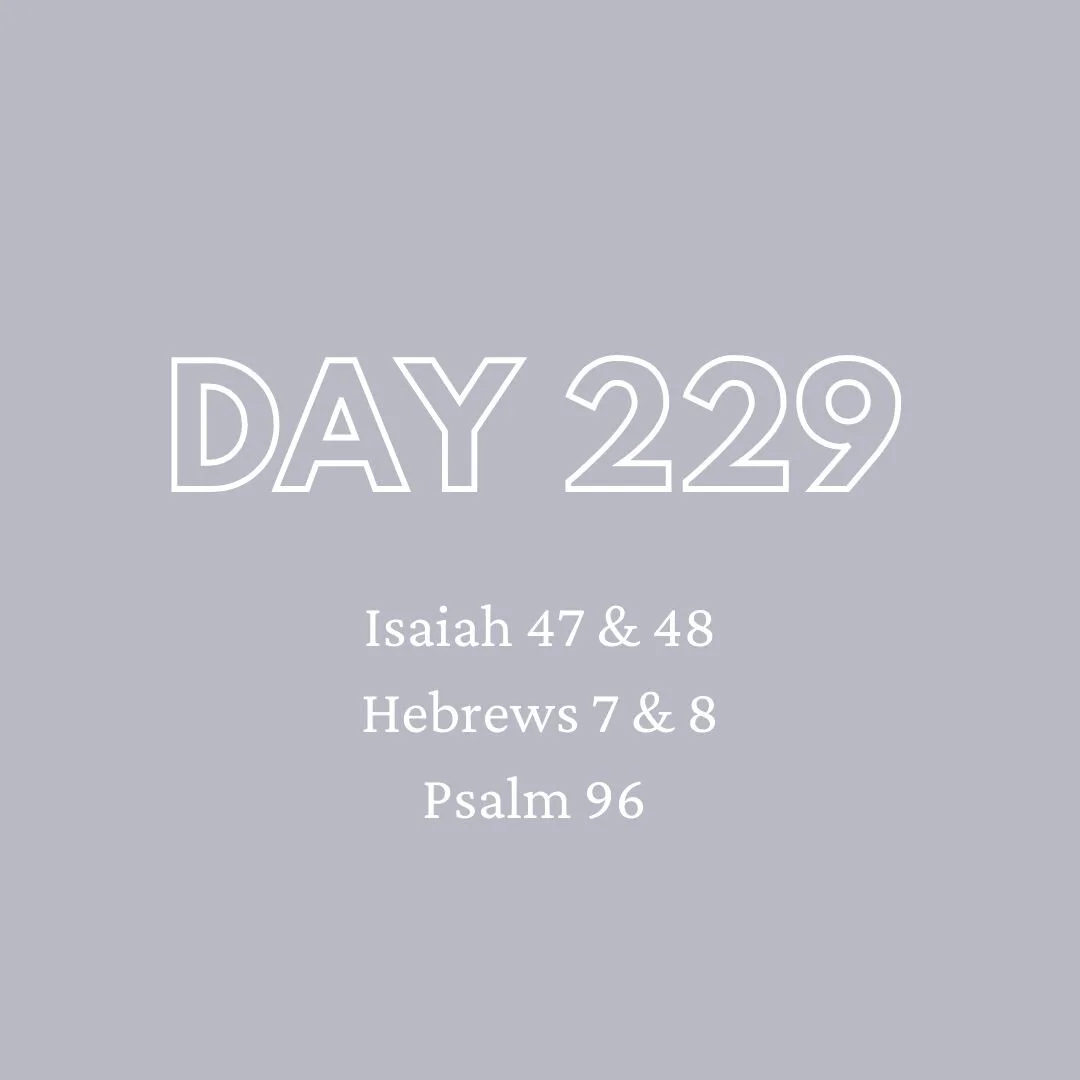 Daily Devotion - Day 229