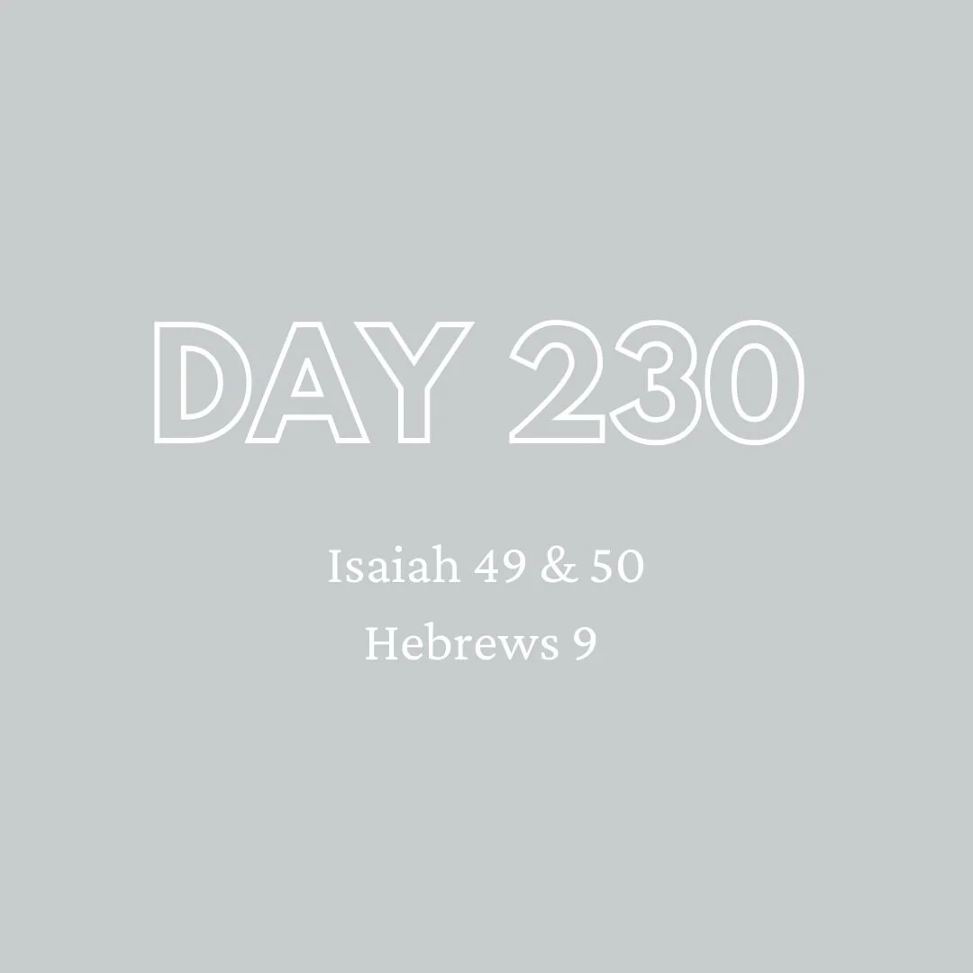 Daily Devotion - Day 230