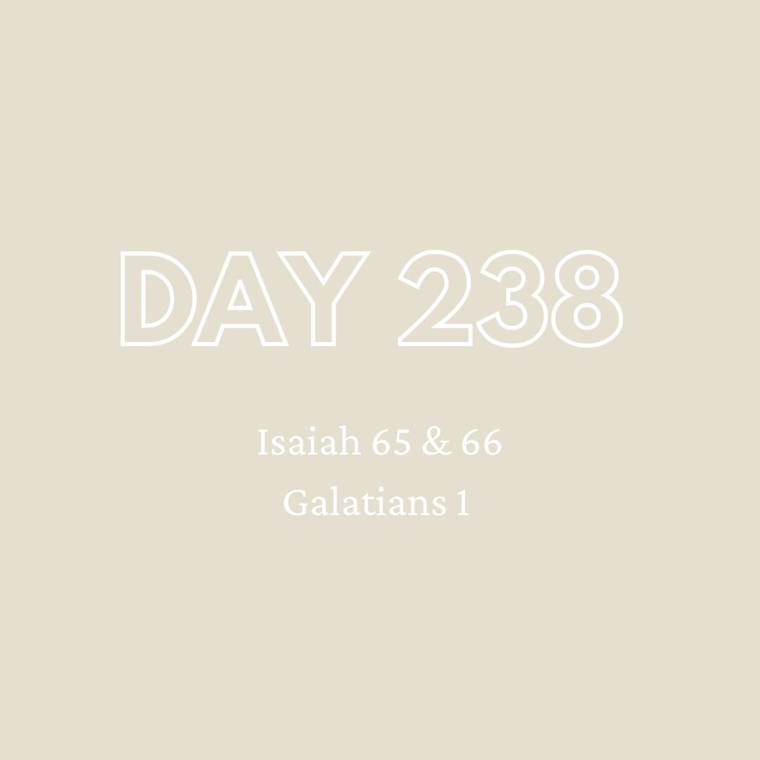 Daily Devotion - Day 238