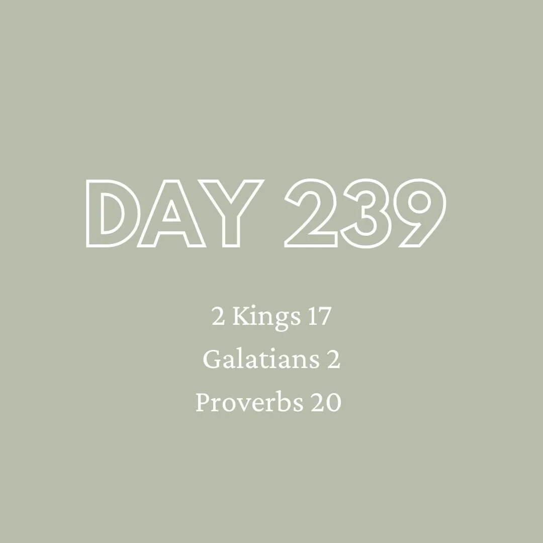 Daily Devotion - Day 239