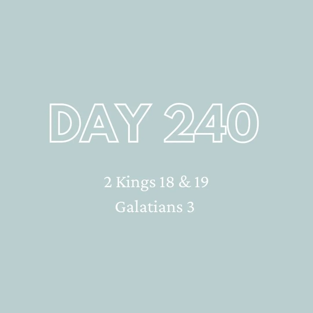 Daily Devotion - Day 240