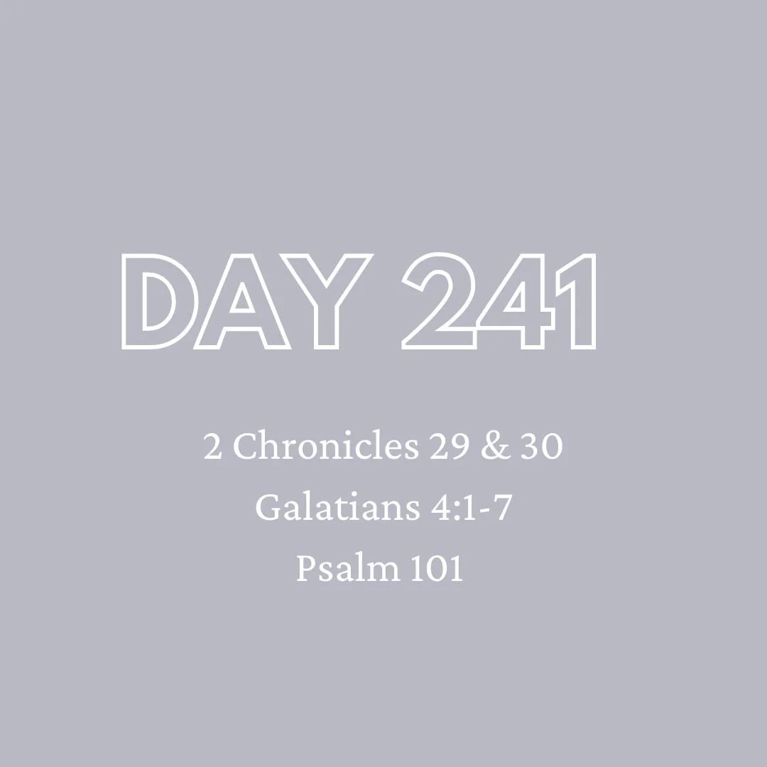 Daily Devotion - Day 241