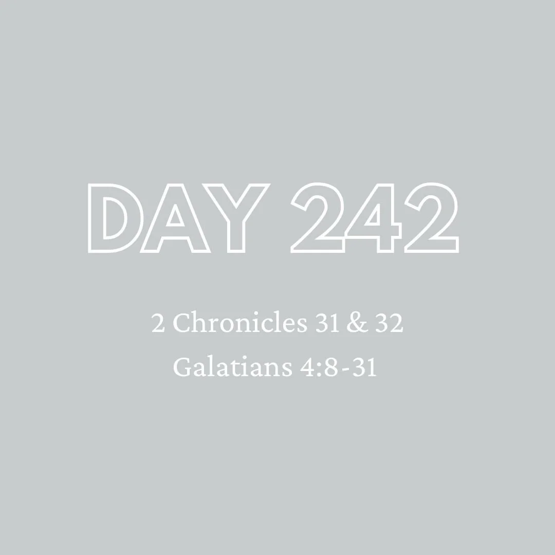 Daily Devotion - Day 242