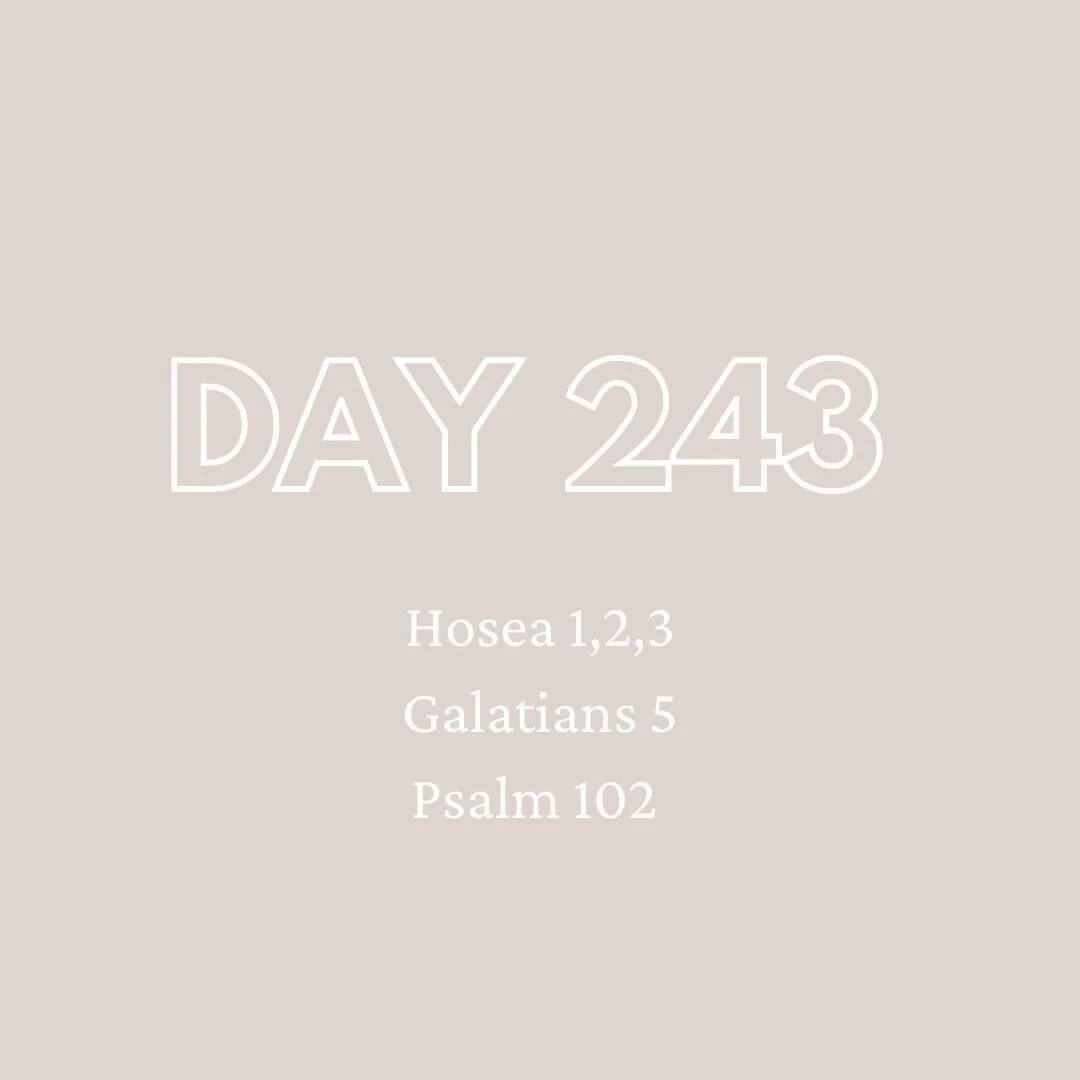 Daily Devotion - Day 243