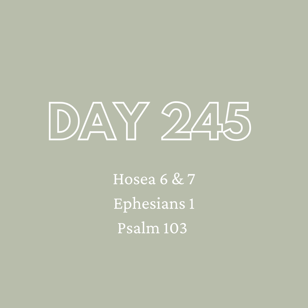 Daily Devotion - Day 245