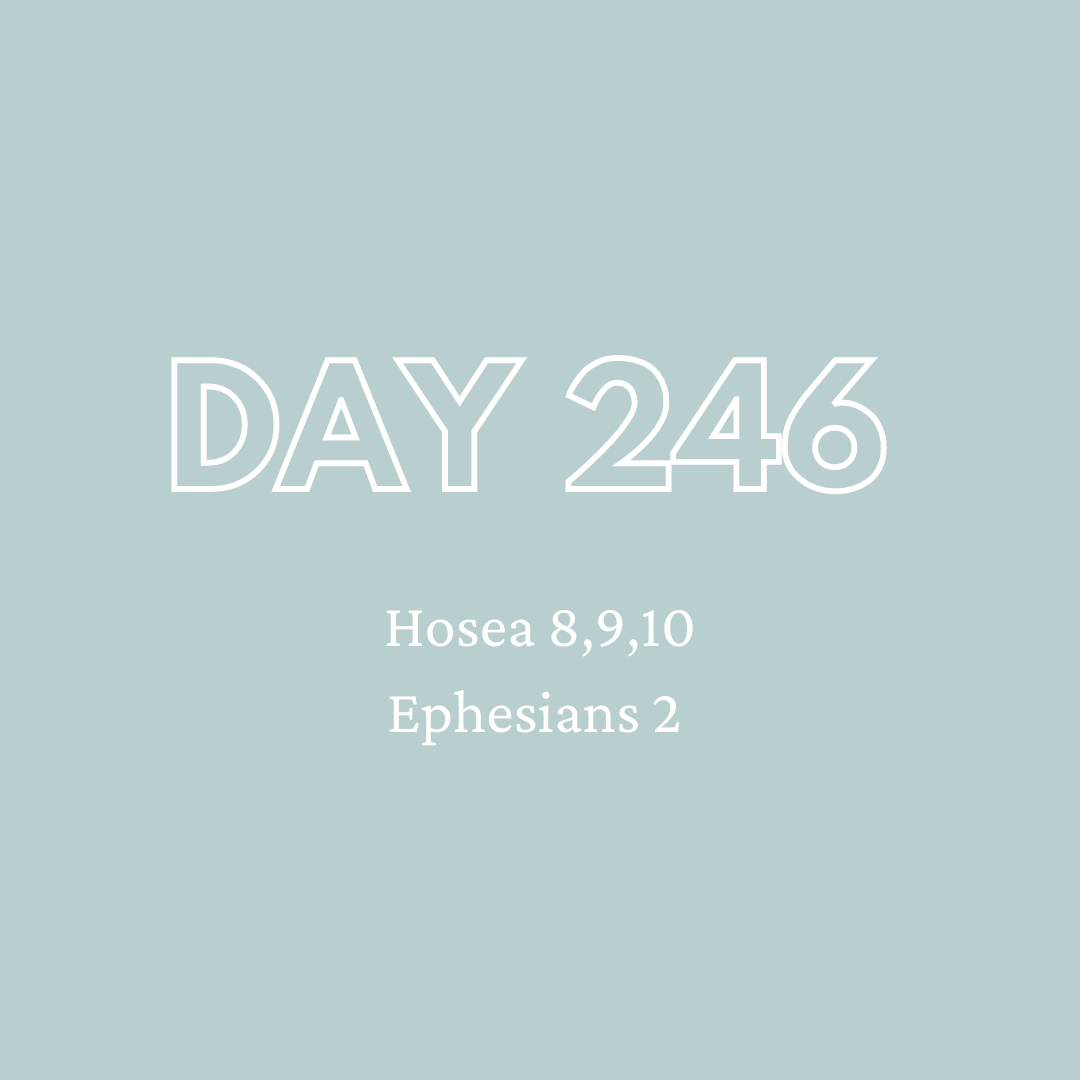 Daily Devotion - Day 246