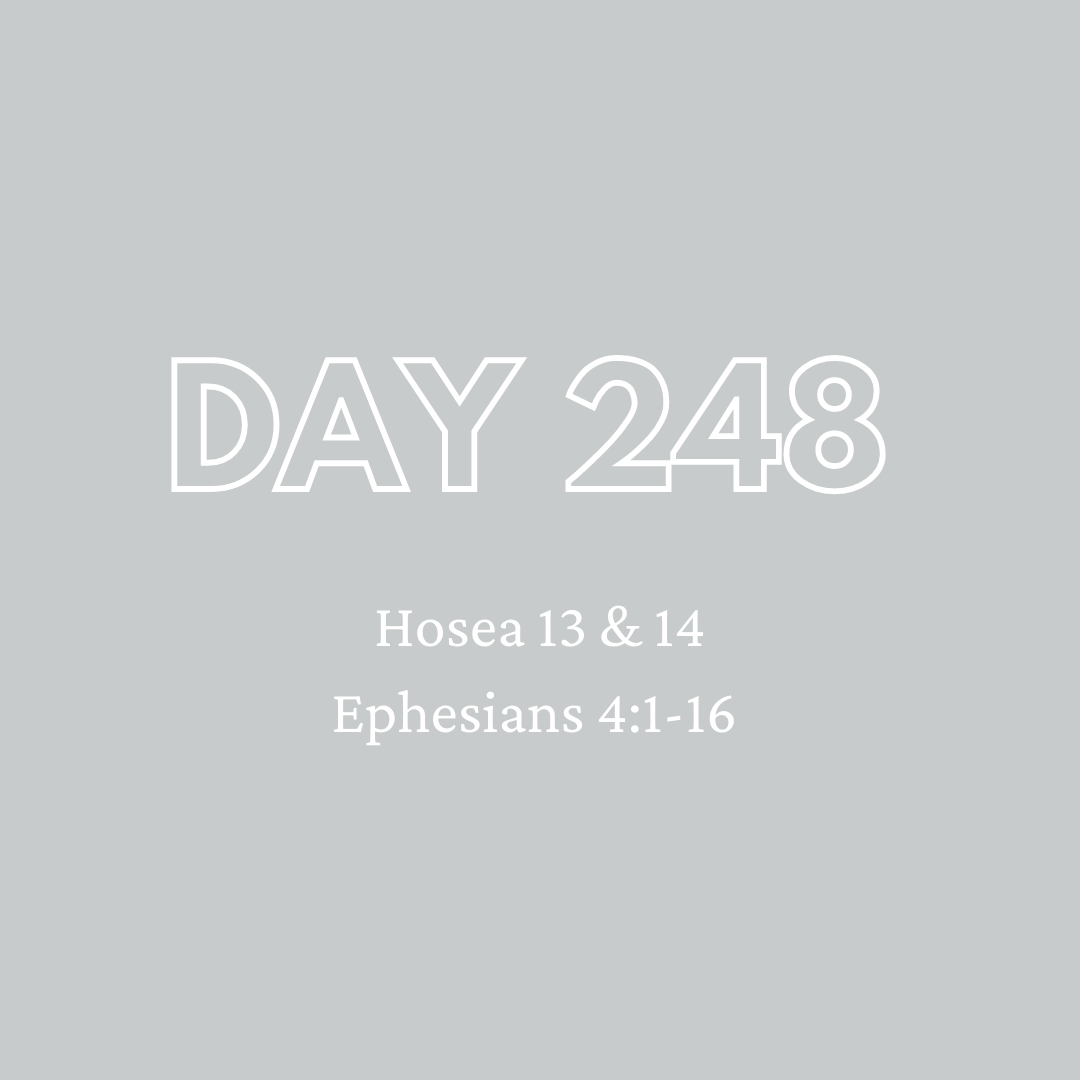Daily Devotion - Day 248