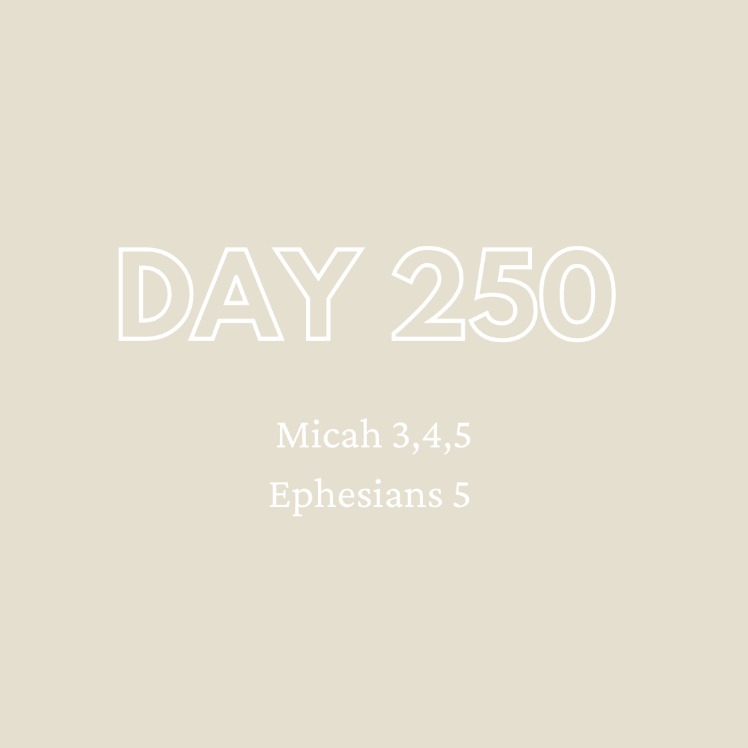 Daily Devotion - Day 250
