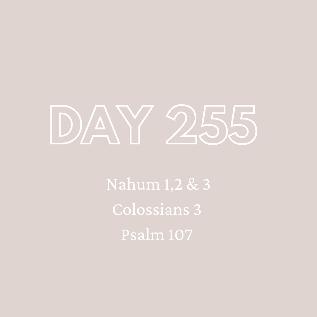 Daily Devotion - Day 255