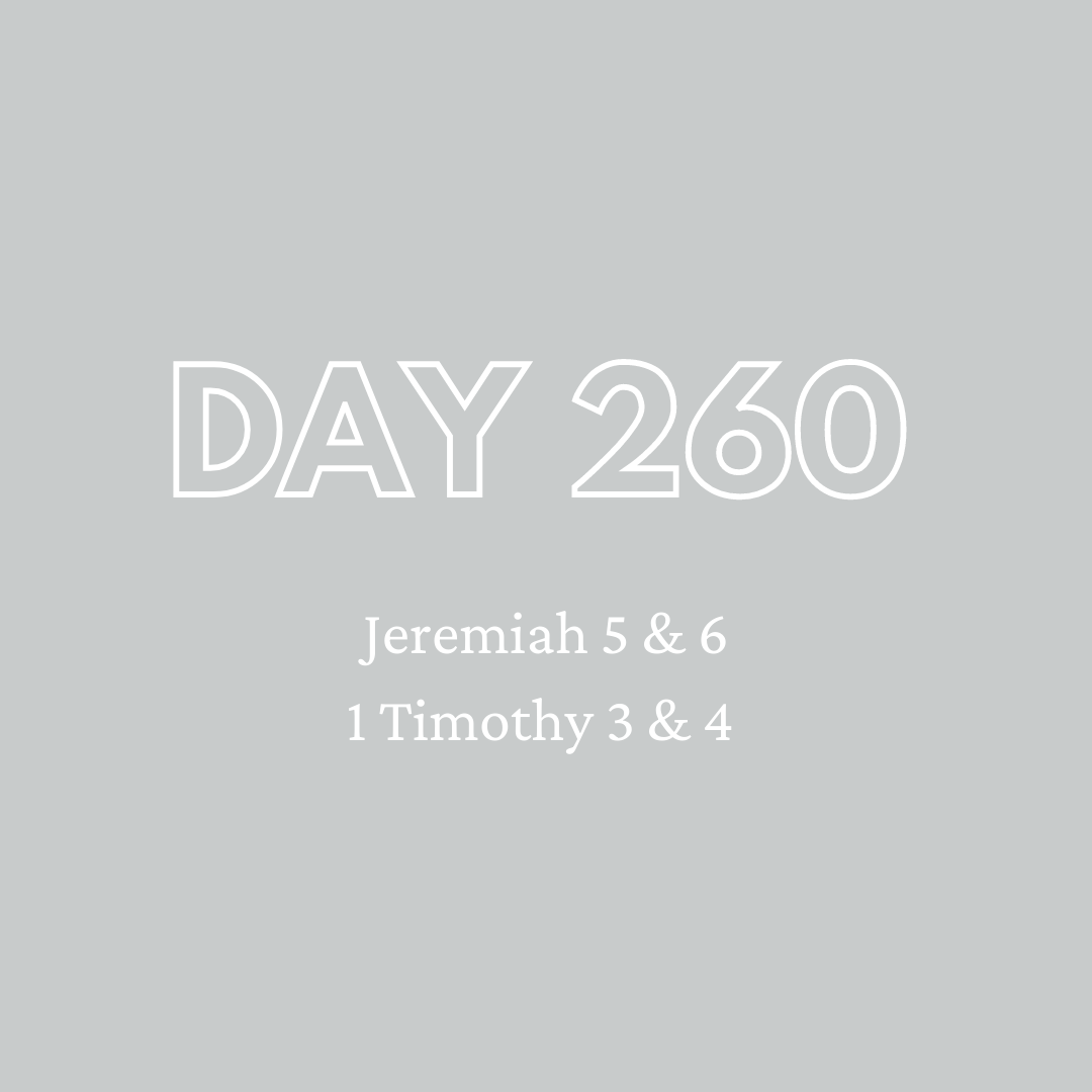Daily Devotion - Day 260