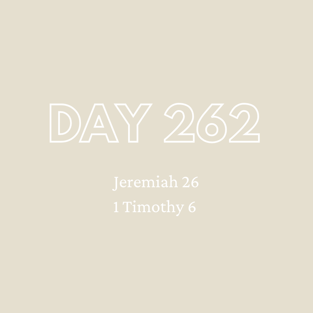 Daily Devotion - Day 262