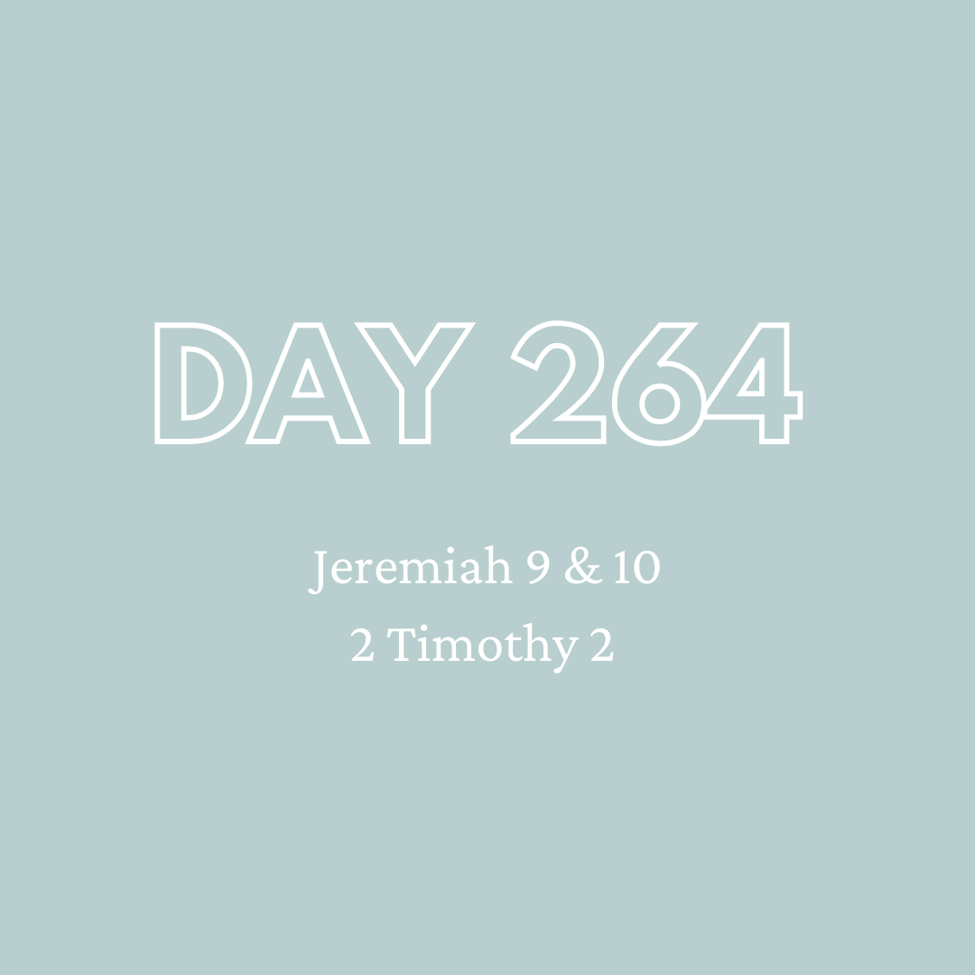 Daily Devotion - Day 264 