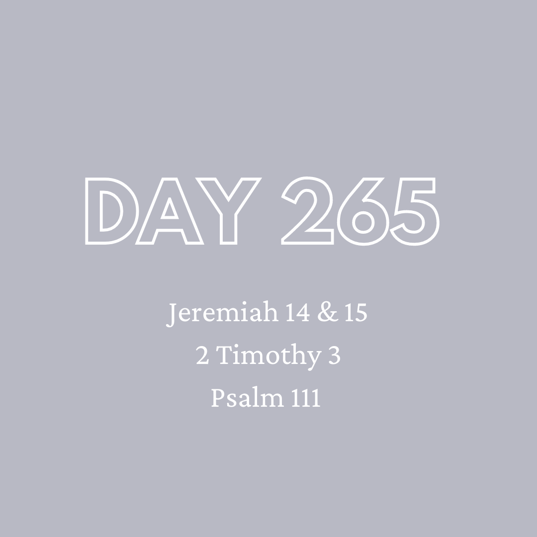 Daily Devotion - Day 265