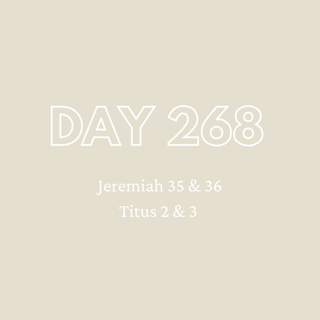 Daily Devotion - Day 268