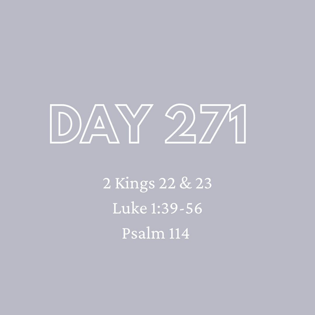 Daily Devotion - Day 271
