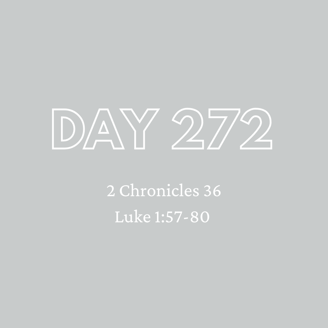 Daily Devotion - Day 272