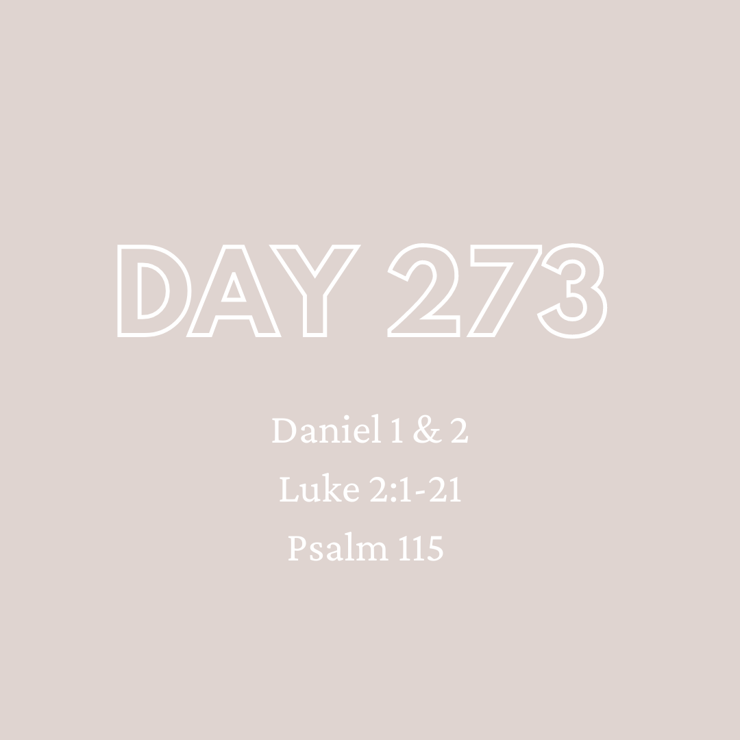 Daily Devotion - Day 273